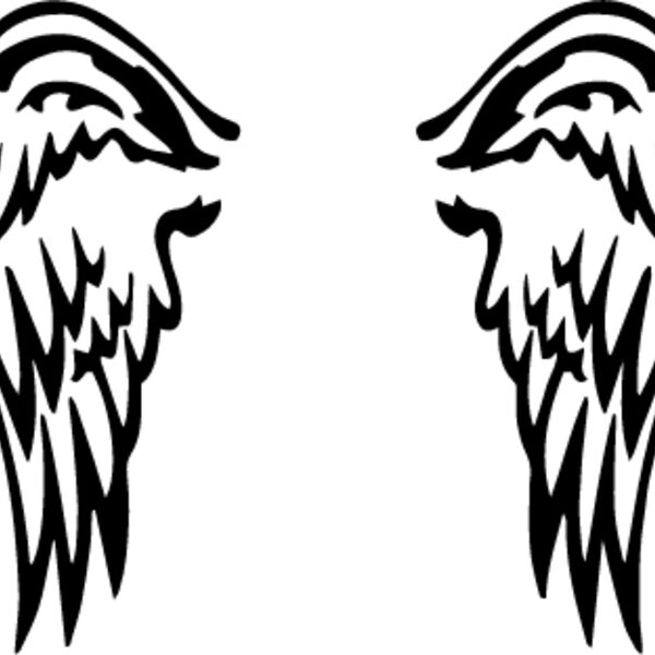 Angel wings Thumbnail