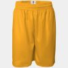 Pro Mesh 9" Shorts Thumbnail