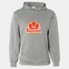 Performance Fleece Hooded Sweatshirt Thumbnail