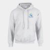 Heavy Blend Hooded Sweatshirt Thumbnail