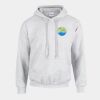 Heavy Blend Hooded Sweatshirt Thumbnail